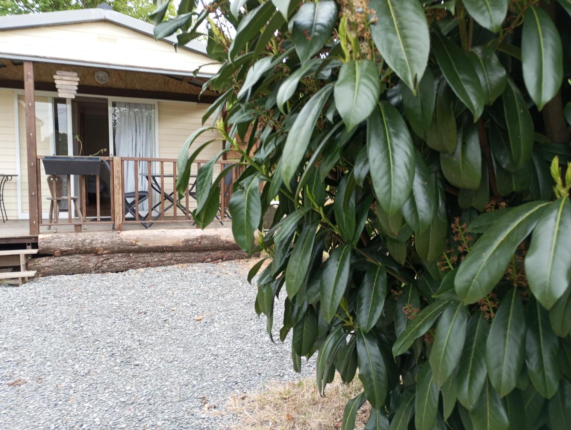 Cabanon Grenouille - Le Pal Saint-Martin-des-Lais Ngoại thất bức ảnh