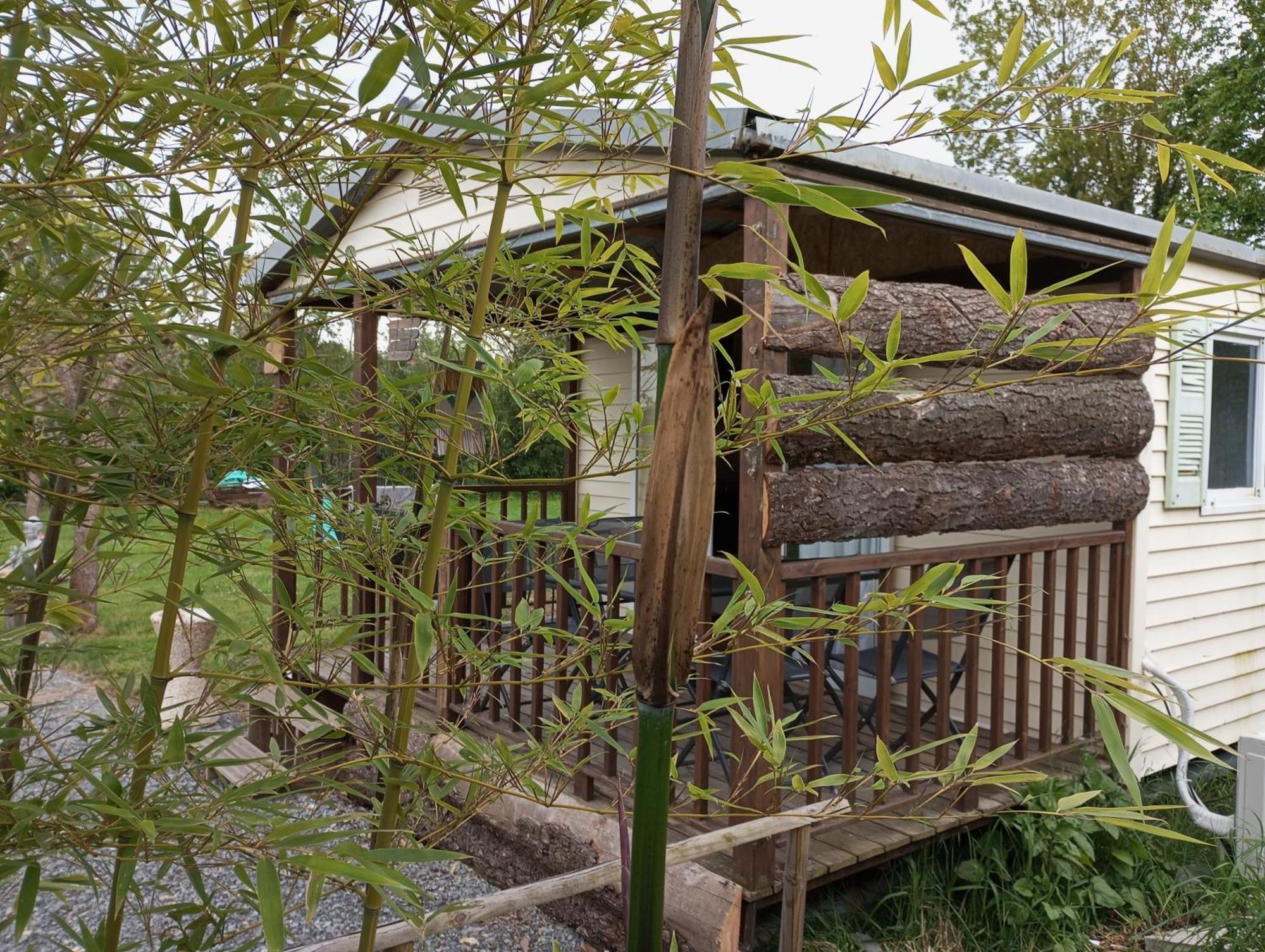 Cabanon Grenouille - Le Pal Saint-Martin-des-Lais Ngoại thất bức ảnh